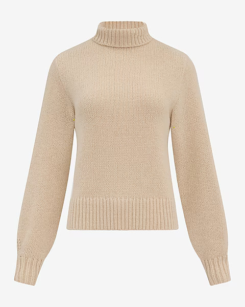 Cozy Soft Turtleneck Sweater | Express