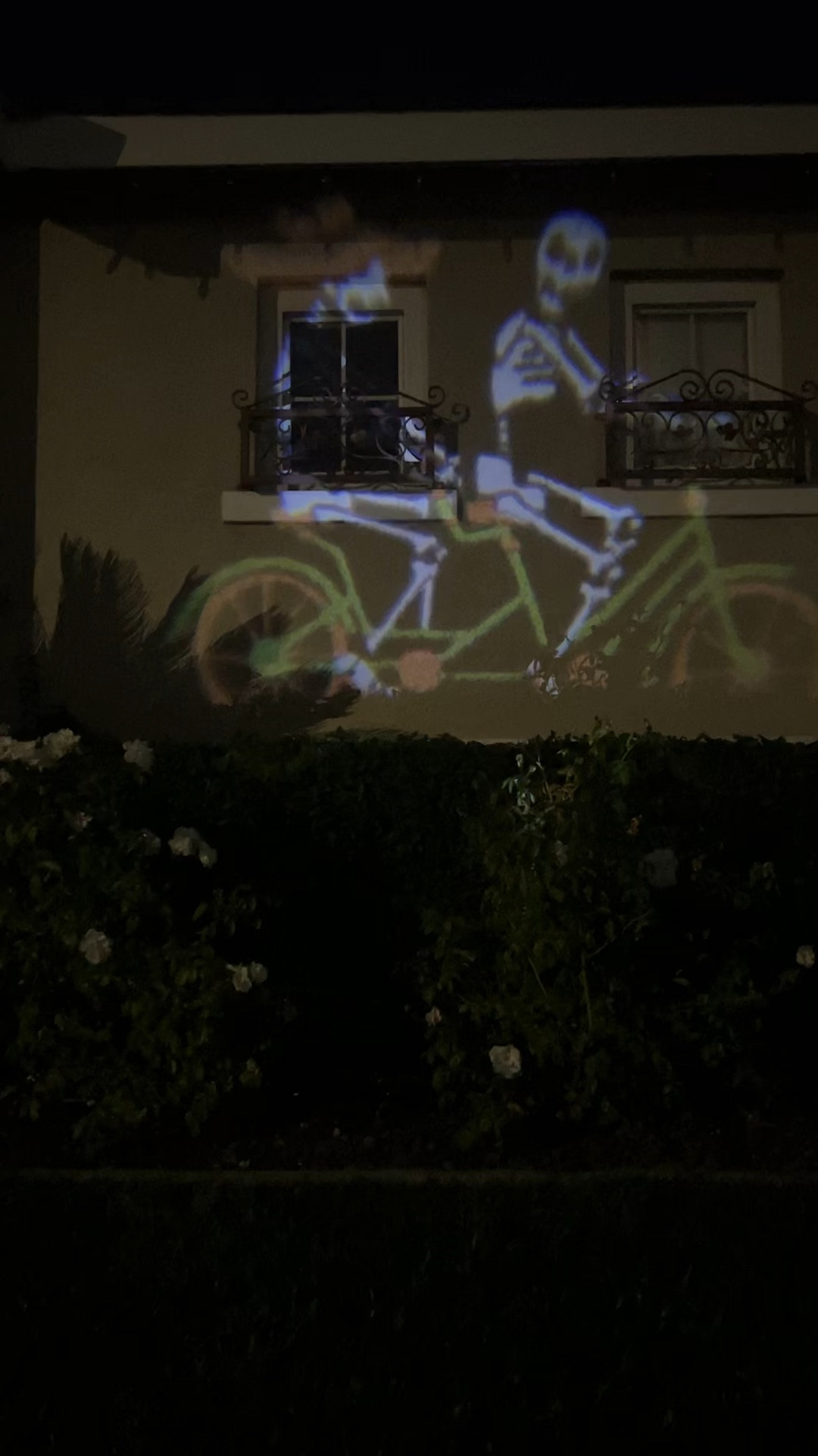 Couldn’t pass this light show up.
Add to cart quickly


#LTKHalloween #LTKHoliday #LTKSeasonal