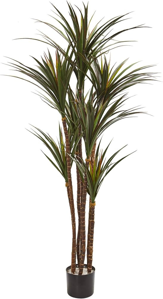 Nearly Natural 5.5’ Giant Yucca Artificial UV Resistant Silk Trees Green, 66 in. h x 25 in. w x... | Amazon (US)