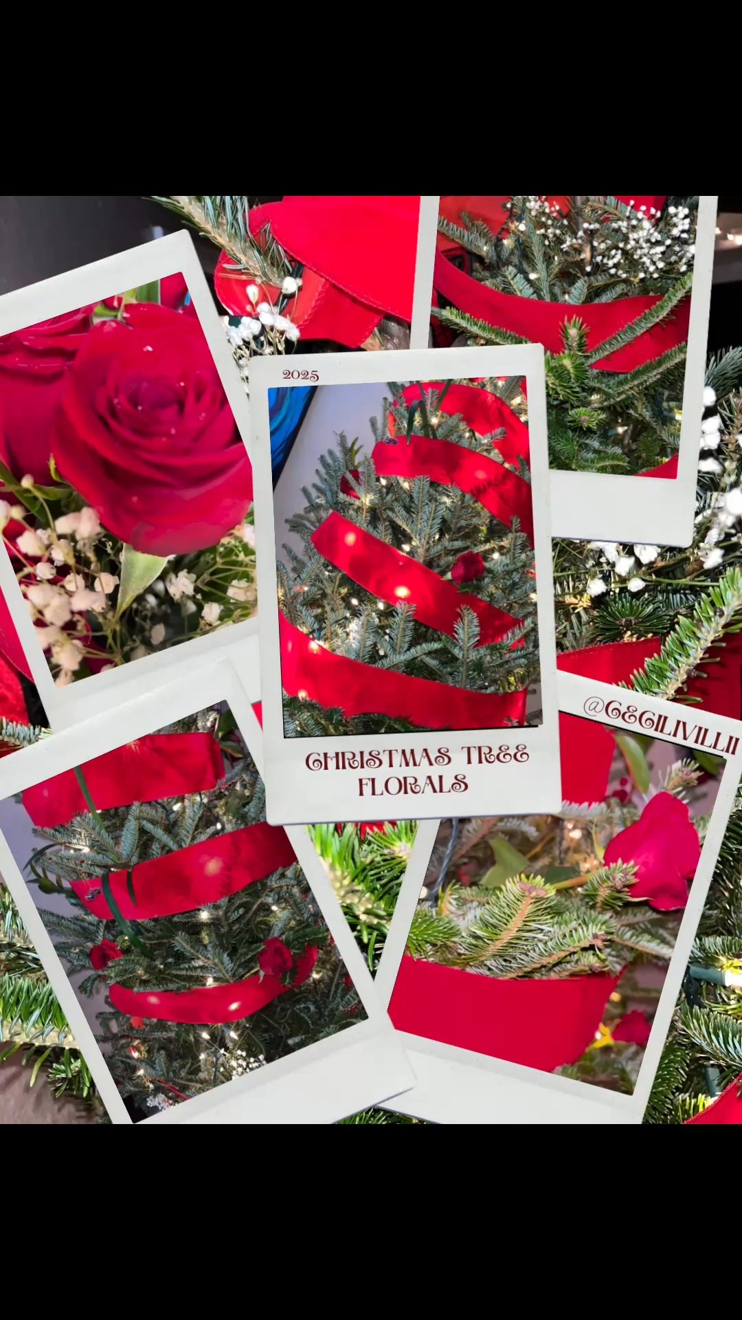 Christmas Tree Florals please 
🥀🤍🎄♥️

Added a little Red Roses to the Christmas tree today 🤩

#LTKmomlife #LTKSeasonal #LTKHoliday