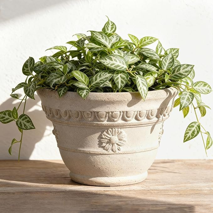 Bamworld 7 Inch Terracotta Plant Pots for Indoor Outdoor Plants Embossed Clay Pots with Drainage ... | Amazon (US)