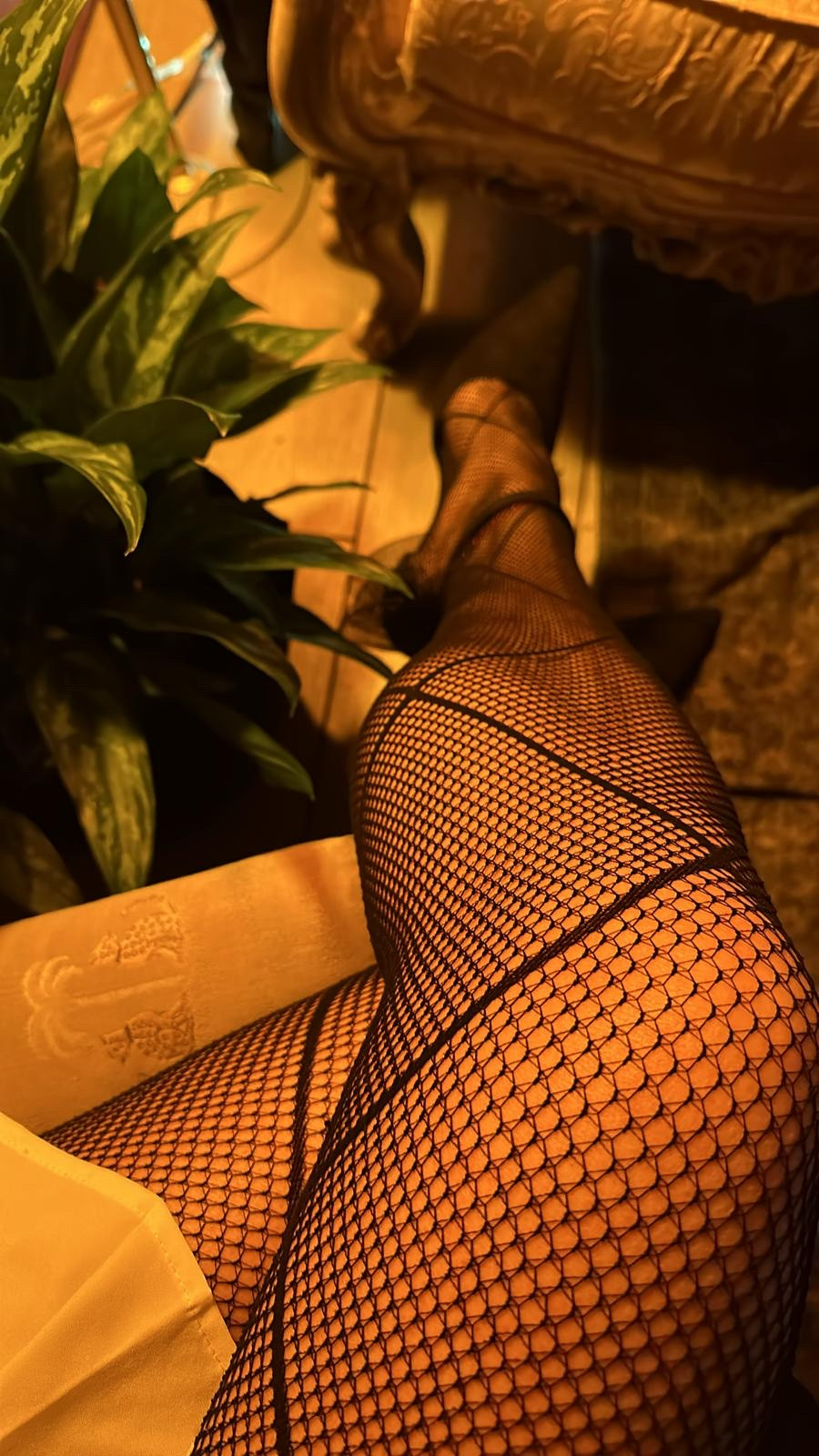 My fav stockings from @Target

#LTKgrwm #LTKvlog #LTKTall
