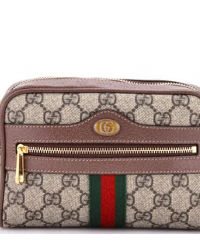 Gucci ophidia

#LTKFallSale #LTKSaleAlert #LTKItBag