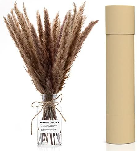 DM Dried Pampas Grass Decor with Glass Boho Vase and Box - Hand-Picked 30 Pcs 16" Elegant and Flu... | Amazon (US)