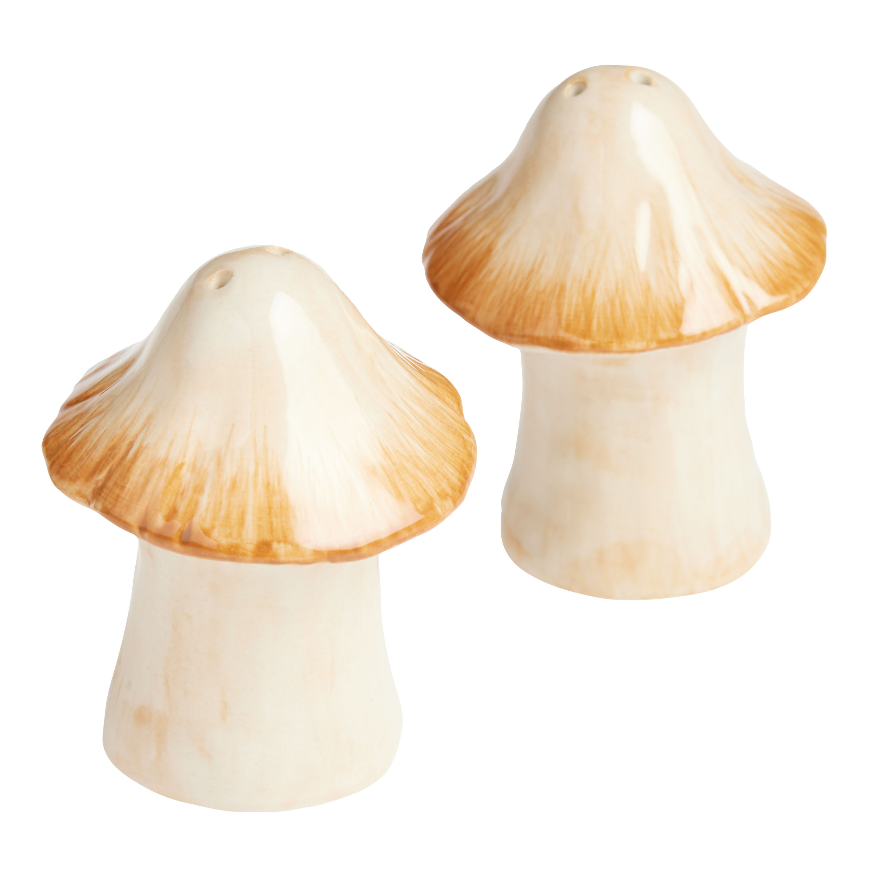 Reactive Glaze Ceramic Mushroom Salt and Pepper Shaker Set | World Market
