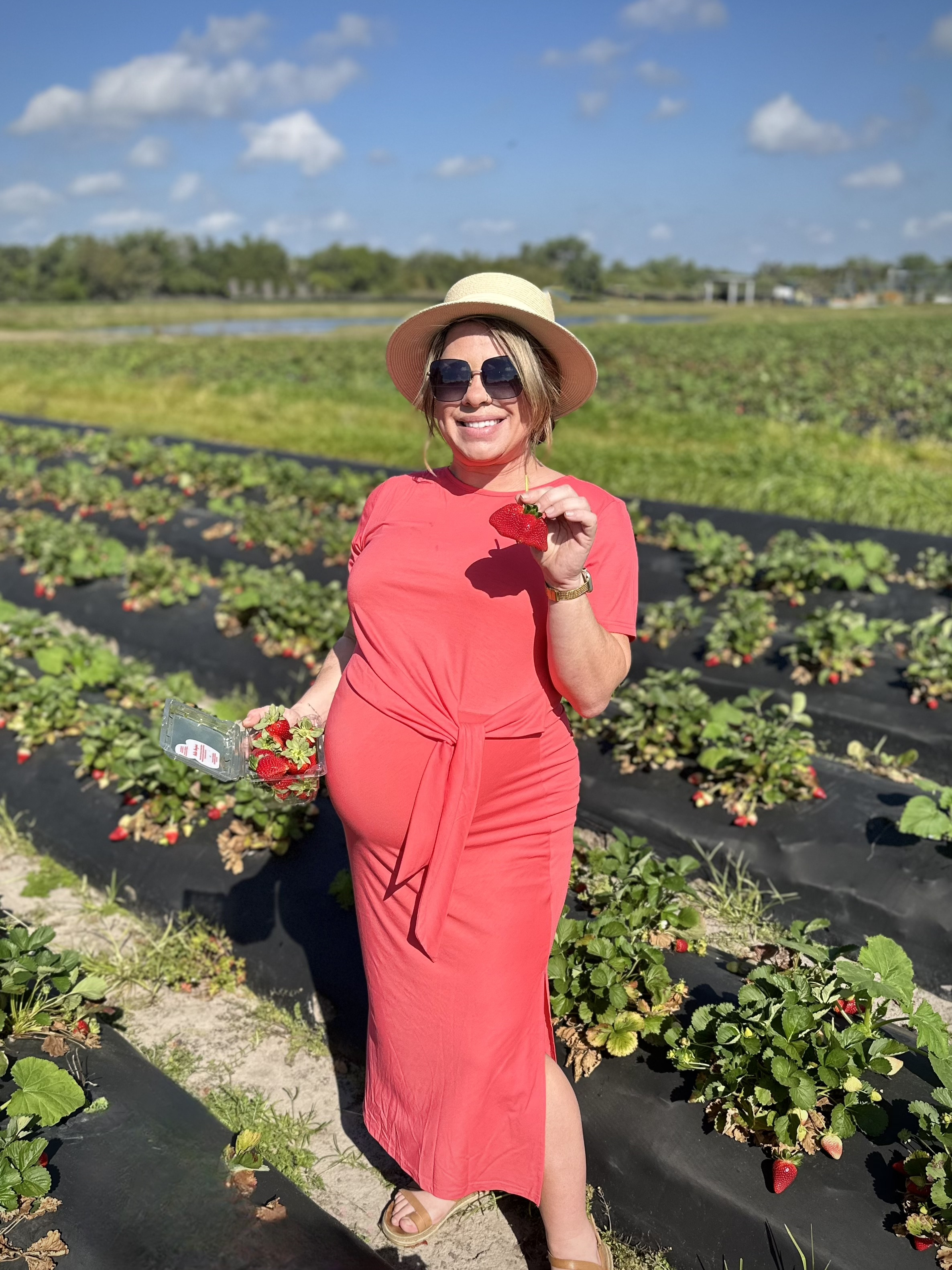 February and March is strawberry season here in central Florida. The best strawberry fields are here in Plant City and Thonotosassa Florida.

At 38 weeks pregnant I decided to wear this cute wrap dress I found on Amazon. Super bump and maternity friendly.

#LTKBump #LTKMidsize #LTKStyleTip