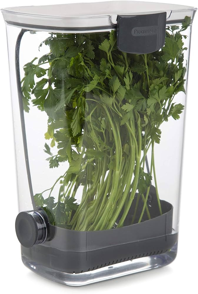 Progressive International PKS-930 BPA-Free Plastic ProKeeper Herb Keeper with Removable Silicone ... | Amazon (US)