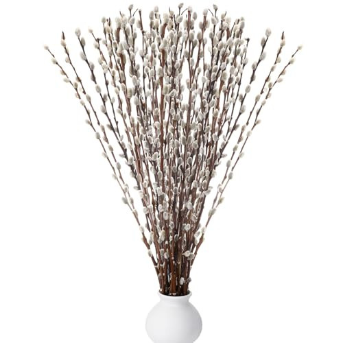 Thiccywoov 20 Stems 31.5'' Real Dried Pussy Willow Branches for Vases 100% Natural Tall Snow Pussy Willows with White Flowers Live Plant for Wedding Home Hotel Fireplace Yard Decor | Amazon (US)