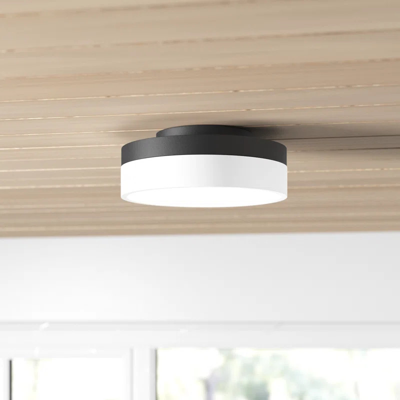 Danica Acrylic LED Flush Mount | Wayfair North America