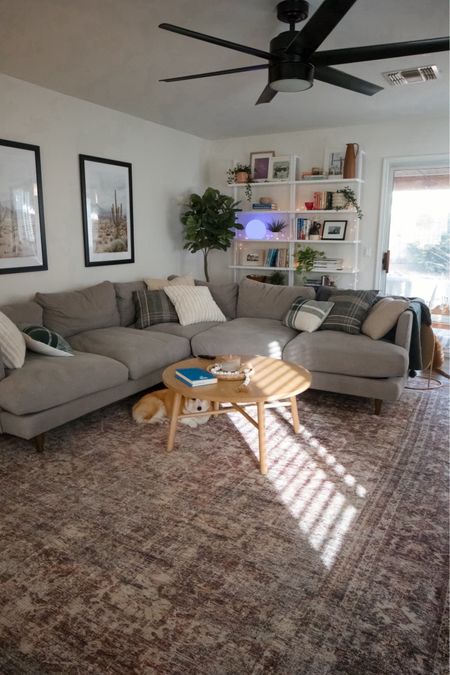 My cozy living room is really coming along! I love the rug and book shelvess

#LTKhome
