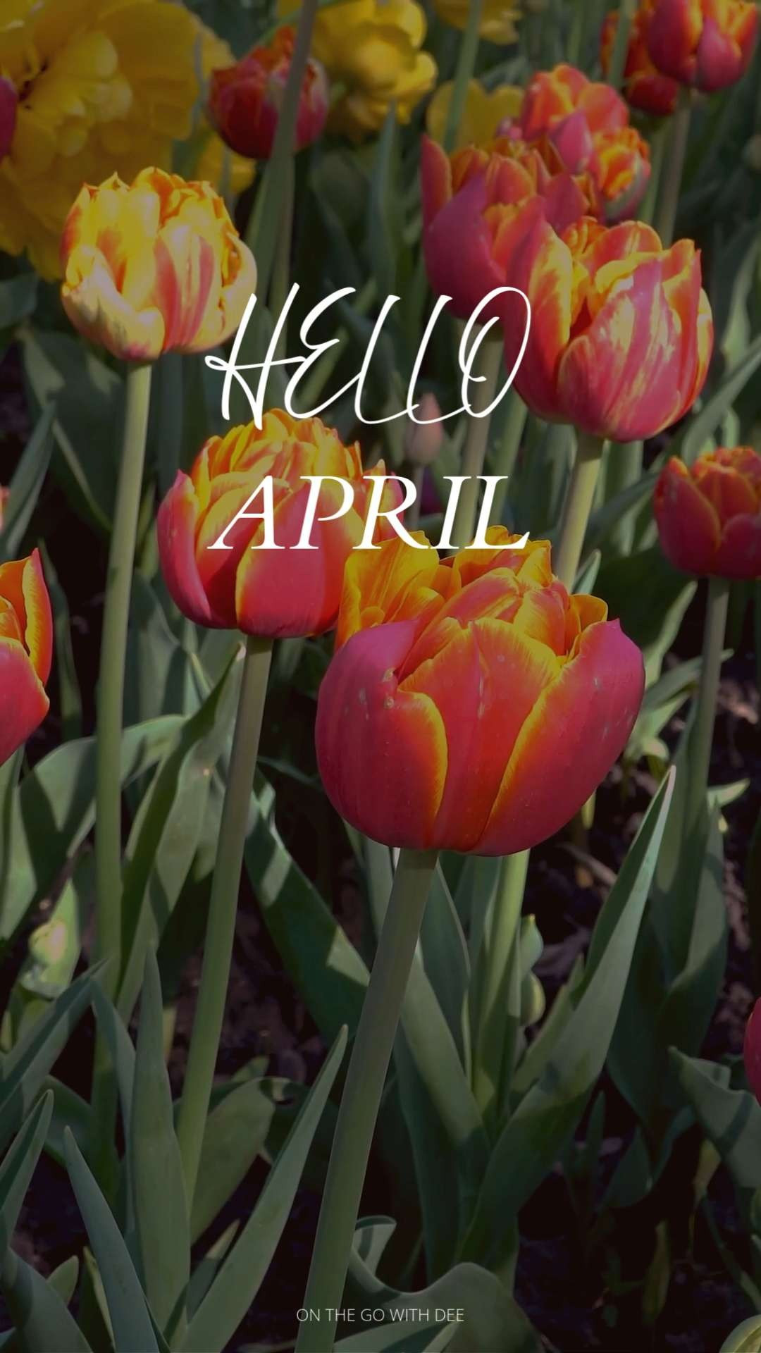 Let’s make it beautiful, productive, and a little indulgent. 💐 

 #LTKmomlife #LTKselfcare #LTKSeasonal