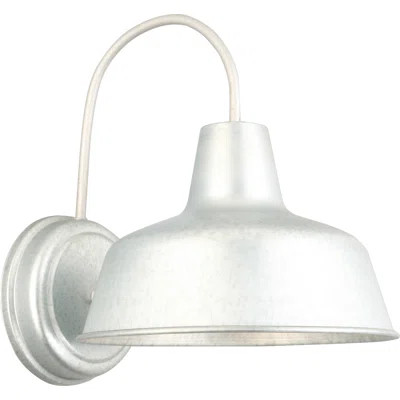 Francois 1-Light Outdoor Barn Light | Wayfair North America
