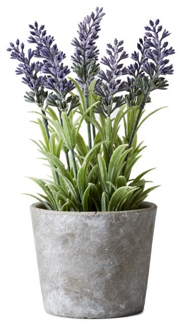 Lavender In Cement Pot,  4"x10" - Tropical - Artificial Plants And Trees - by Serene Spaces Livin... | Houzz (US)