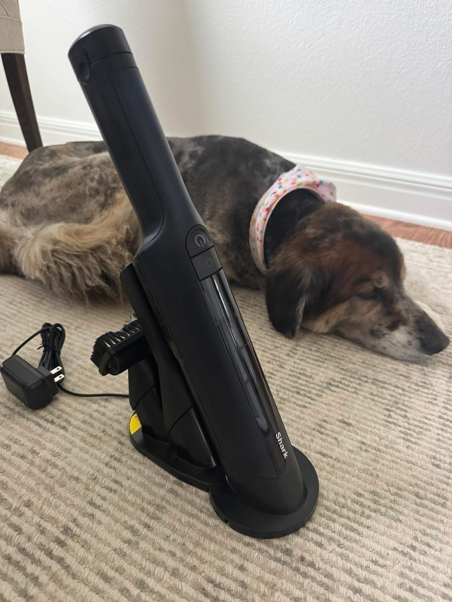 One of my fav fav things! This Shark cordless wand vac is on special today! Use it in your car, on furniture, for quick cleanups like under the bar stools, hair on your bathroom floor, and pet food messes! @qvc #loveqvc #ad