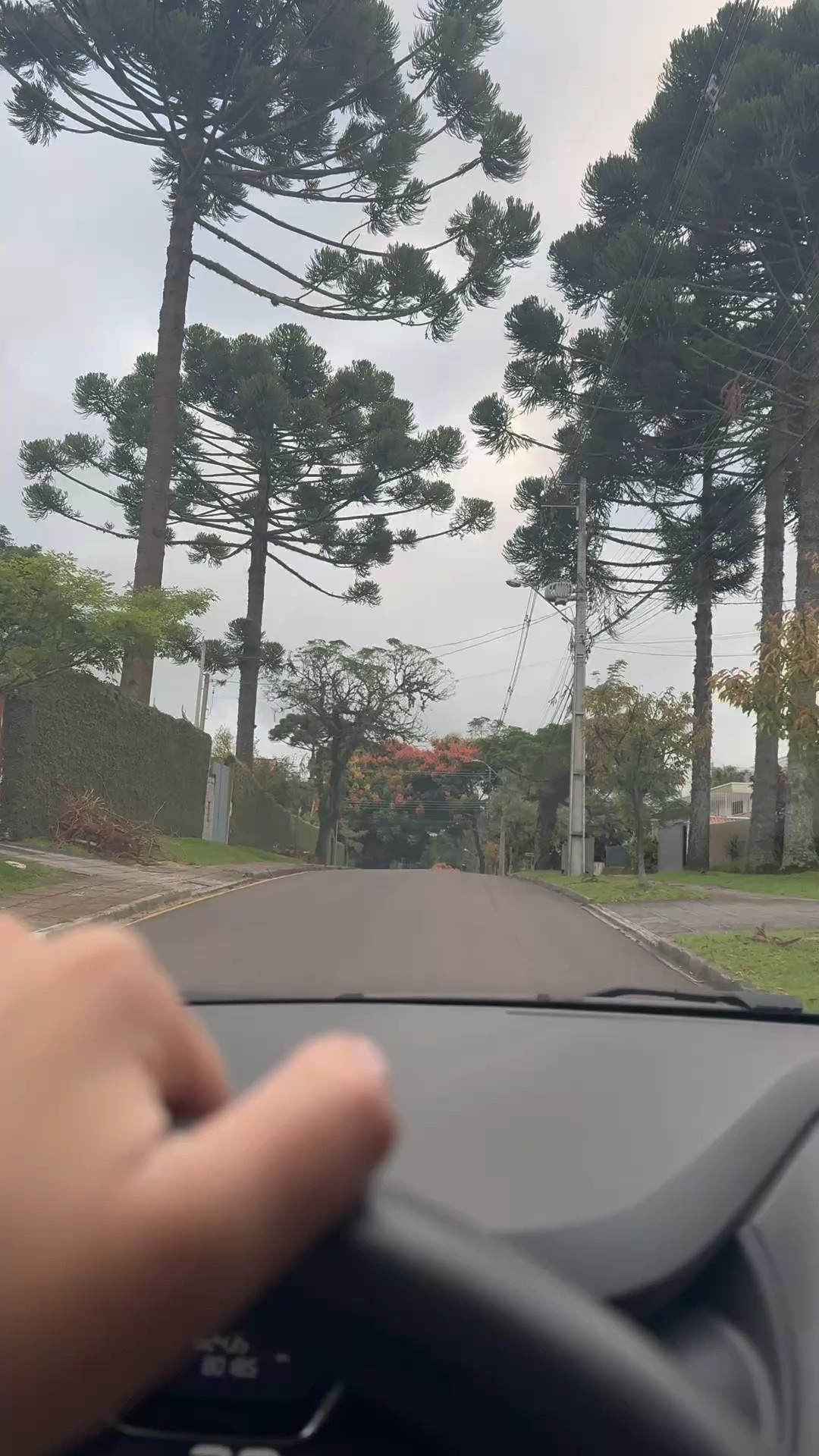 Vamos comigo para um dia de pilates? 

#LTKfitness #LTKbrasil #LTKautumn