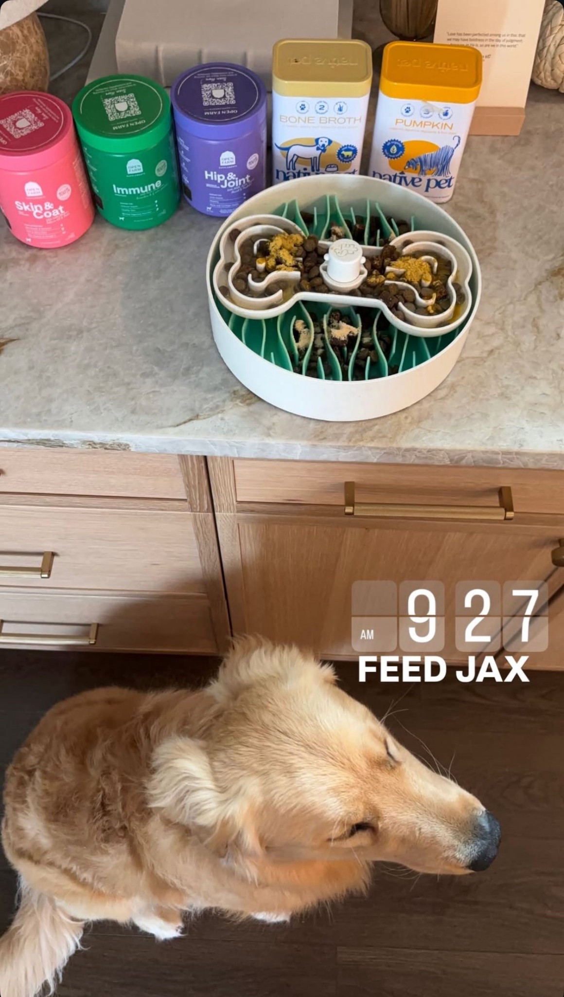 What we feed Jax! 🐾

#LTKFindsUnder50 #LTKPets #LTKFindsUnder100