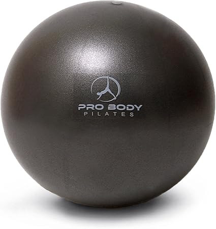 ProBody Pilates Small Exercise Ball - 9 Inch Workout Ball for Stability, Barre, Yoga, Core & Phys... | Amazon (US)