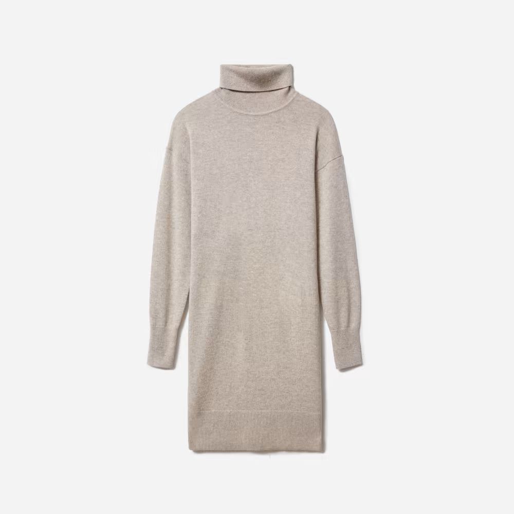 The Cashmere Turtleneck Dress | Everlane