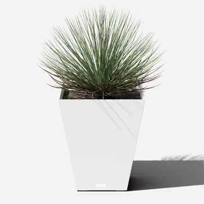 Pure Series Nobleton Planter | Wayfair North America