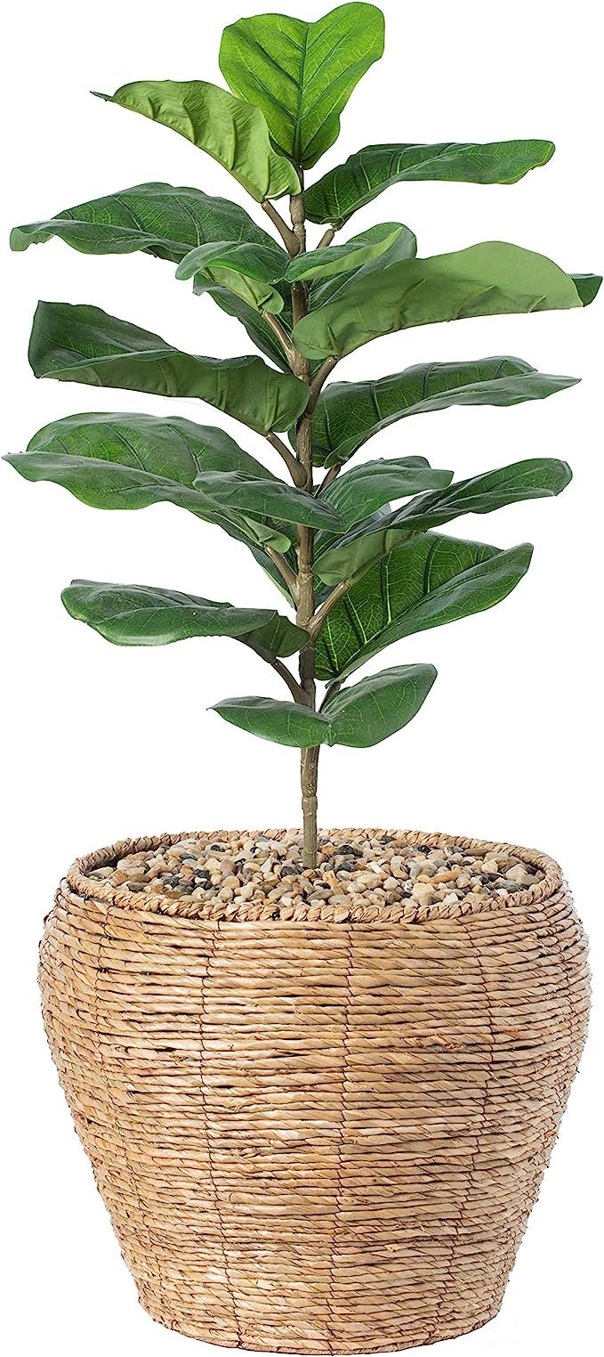 Vintiquewise Woven Round Flower Pot Planter Basket with Leak-Proof Plastic Lining - Large | Amazon (US)