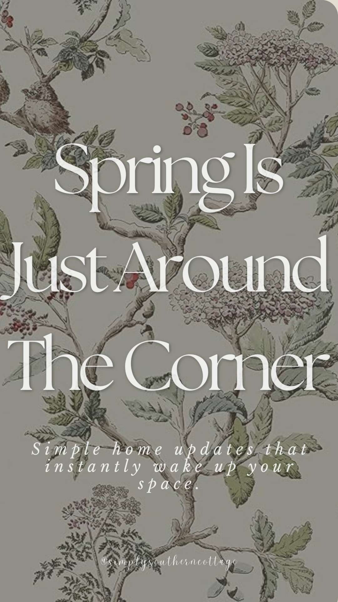 Spring is Just Around the Corner! Simple home updates that instantly wake up your space. 
-
-
-
Spring decor, amazon decor, spring cleaning, new decor, simple decor, season decor, pastels, home, home updates, amazon home decor, amazon home, home updates, living room, bedroom, office space, home decor, art work 

 #LTKSeasonal #LTKHome