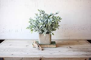 GwG Outlet Artificial Sage Bush in A Square Pot CNL1010 | Amazon (US)