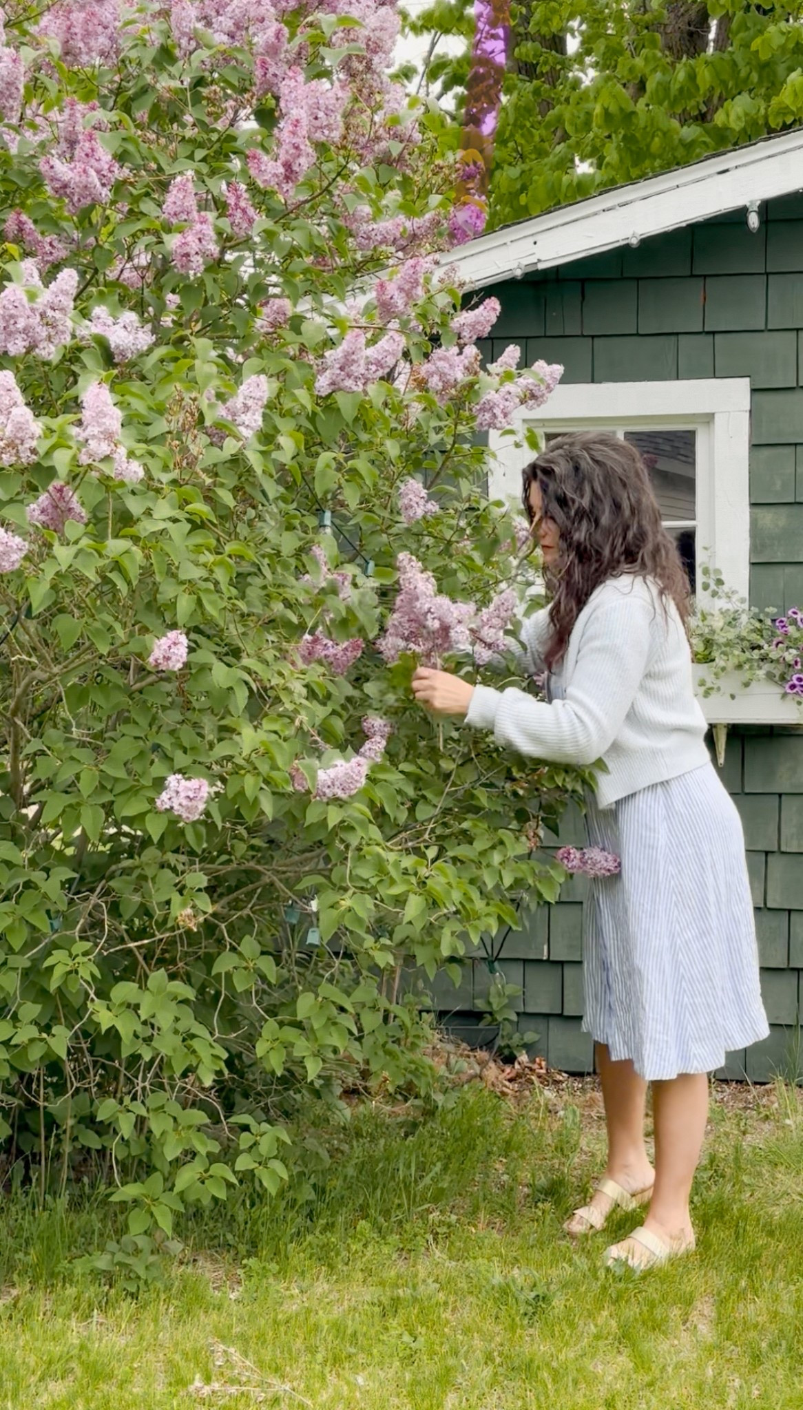 Cute & comfortable dummer dress 

Runs fairly true to size but if in-between sizes, I would size down (I wear somewhere between a small and medium in dresses and the medium had just a little too much fabric in the skirt)

for reference, I’m 5’4” 150lbs 
wearing a size small 

#LTKSeasonal #LTKMidsize #LTKSummerEdit