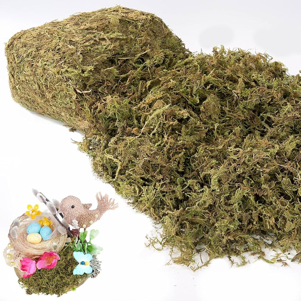 Alphatool 17OZ Fake Moss for Crafts - Artificial Moss for Potted Plants, Natural Moss for Fake Pl... | Amazon (US)
