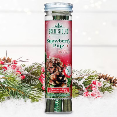 ScentSicles 6pk Snowberry Pine Scented Ornaments | Target
