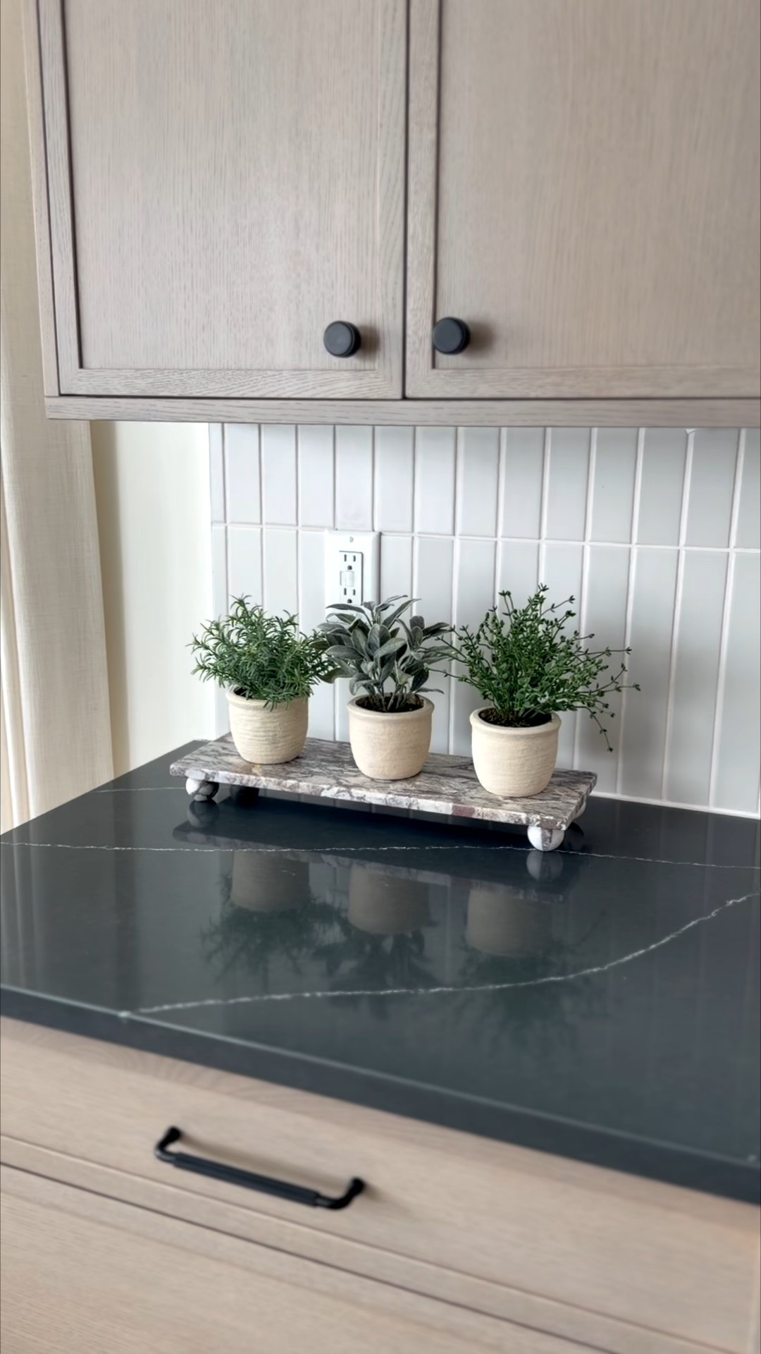 Found these cute mini herb plants from Target!

#LTKHome #LTKFindsUnder50