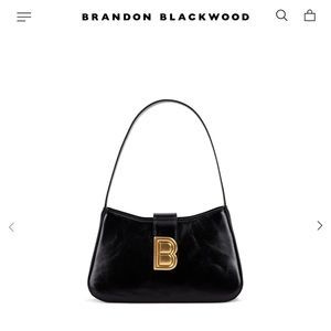 COPY - Gently worn Brandon Blackwood Daphne Bag | Poshmark