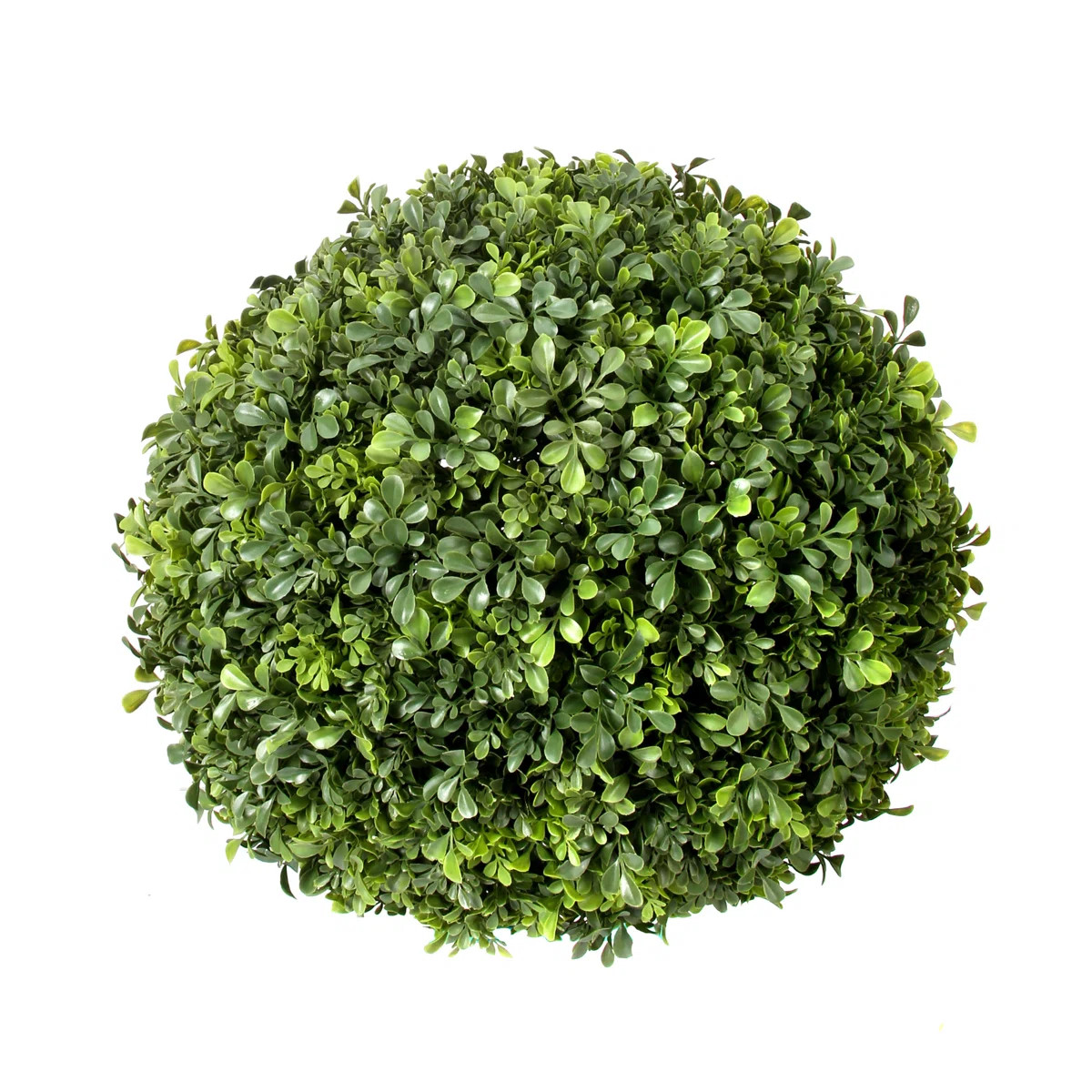 Garnes UV Rated Outdoor Boxwood Ball | Wayfair North America