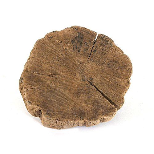 Natural Drift Wood Piece in Natural Coloring - 6-5/8" Long | Amazon (US)