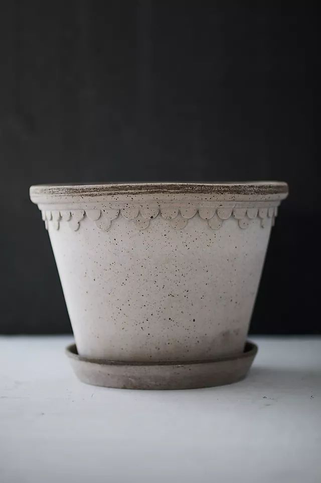 Bergs Palace Pot + Saucer | Anthropologie (US)