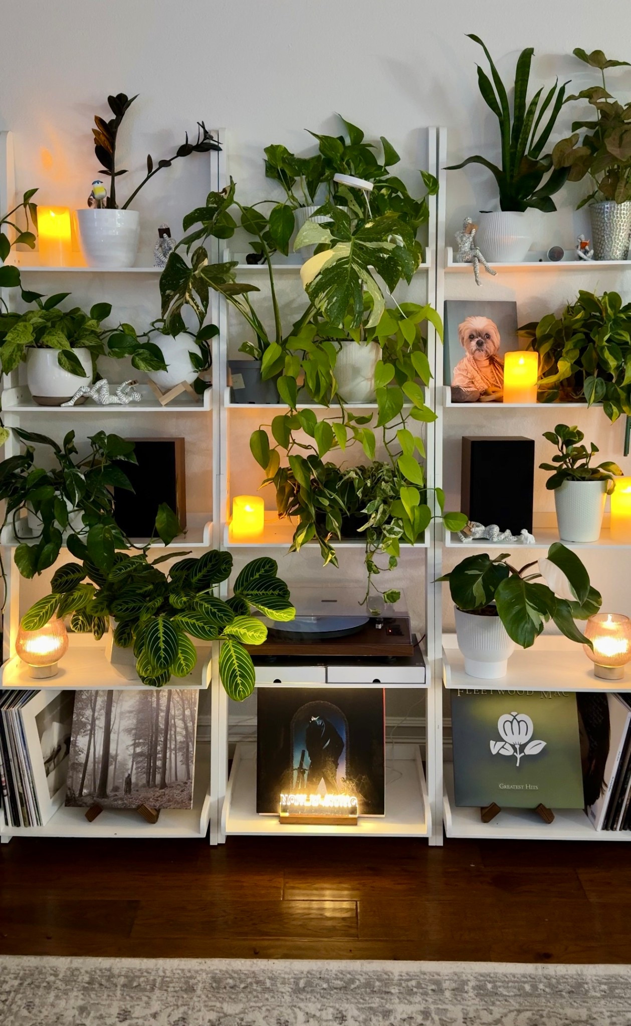 The cozy evening vibes in my living room. 

#LTKFindsUnder50 #LTKHome #LTKFindsUnder100