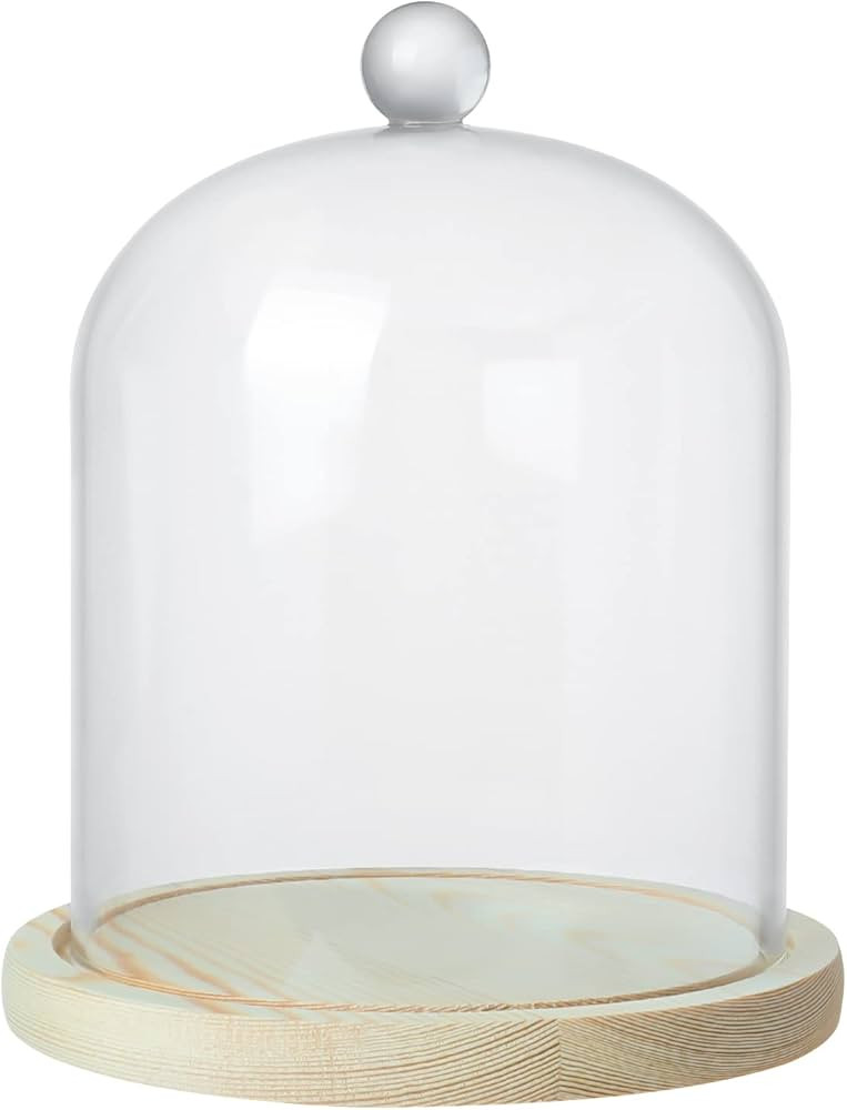 Clear Cloche Glass Dome,Glass Cloche to Cover Plants and Decorations,Display Dome Cloche for Dess... | Amazon (US)
