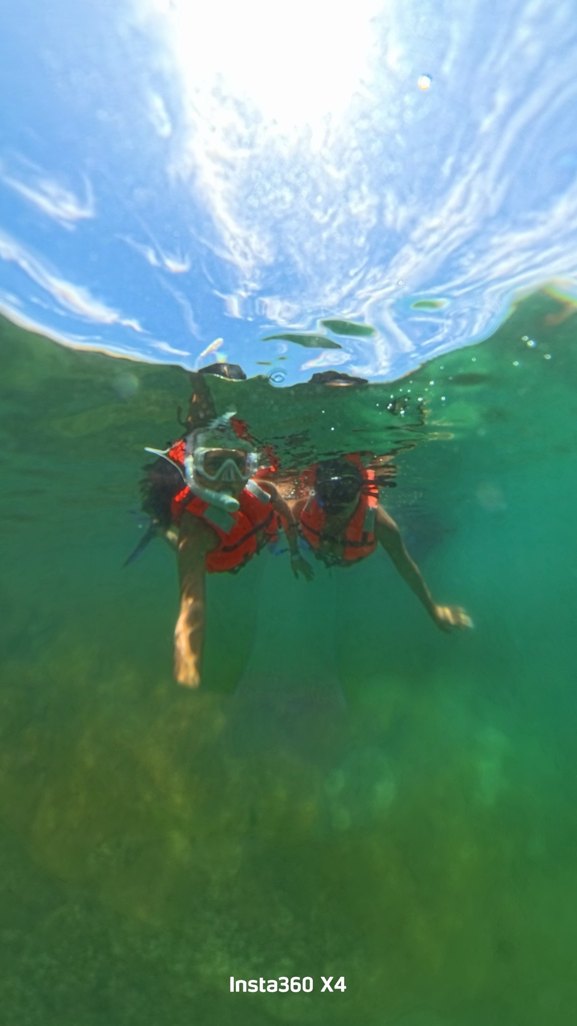 🌊✨Just beneath the surface is where the magic happens.

One of those moments I wish I could relive over and over — crystal clear water, sunshine above, and memories made below. 🤍

#SnorkelingAdventures #OceanVibes #BeachLife #VacationMode #TravelMoments #UnderwaterWorld #IslandLife #SummerEscape #AdventureAwaits #TravelDiary

#LTKdayinmylife #LTKTravel #LTKmomlife
