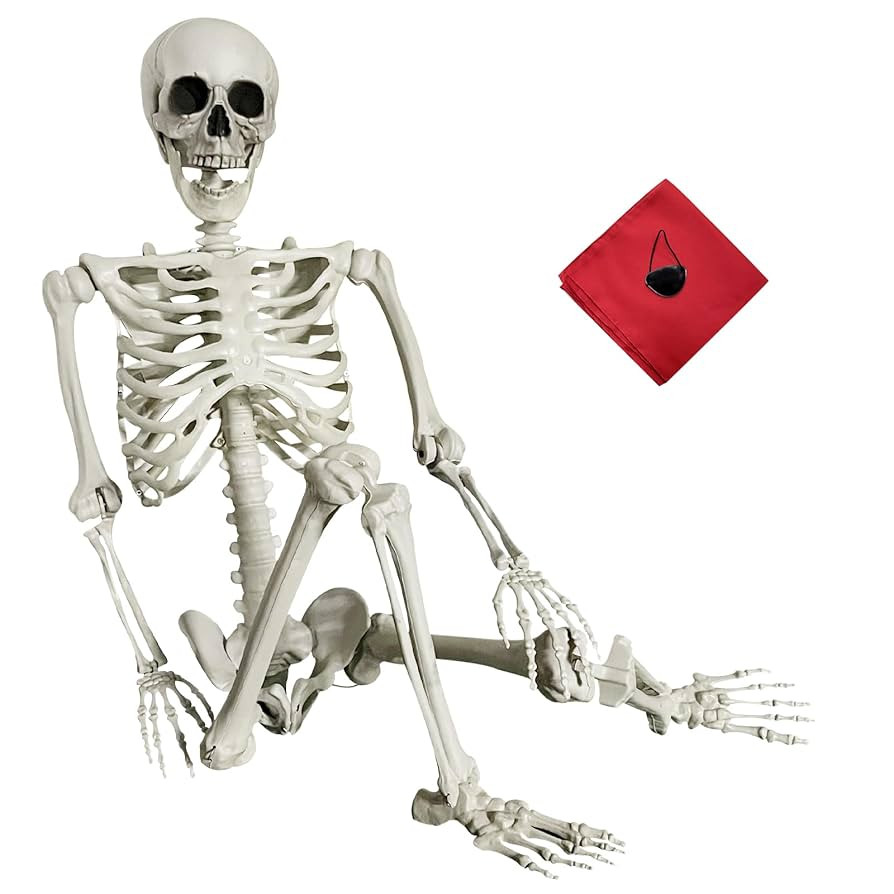 5.4Ft Halloween Skeleton - Life Size Full Body Realistic Human Bones with Posable Joints for Hall... | Amazon (US)