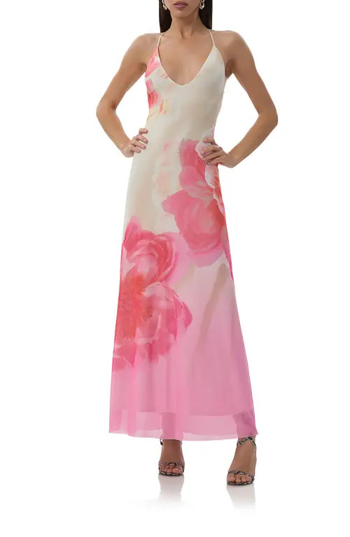 AFRM Romy Floral Mesh Maxi Slipdress in Cloud Floral at Nordstrom, Size Large | Nordstrom