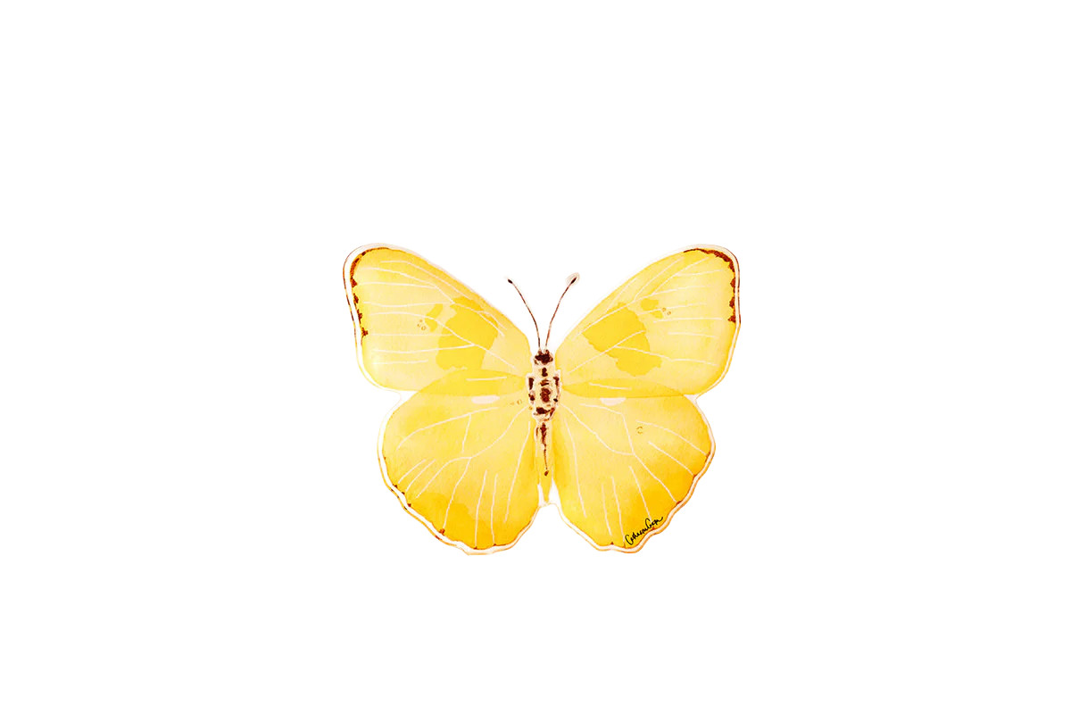 Acrylic Butterfly Large | Lucy's Market