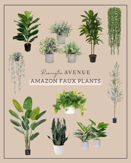 Amazon is a great resource to find faux plants at more affordable prices!

#Amazonhome

#LTKFind #LTKhome