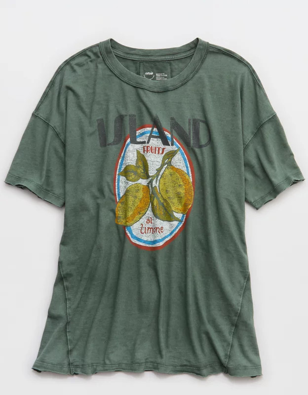 Aerie Oversized Crew Boyfriend T-Shirt | Aerie