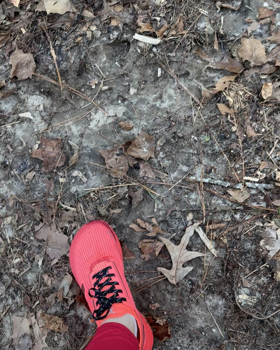 I love my new Flux Adapt Trail Runners! I needed comfortable trail shoes for hiking and walking with my energetic boxer on trails. 

I love how these Adapt Trail Runners feel. They don’t feel bulky, and they feel like they hug your feet. I love the wide toe box, and treads on the bottom that grip the ground while you walk. They also feel like they massage your feet when you walk. They move with your feet when you walk, not against them. 

You can find these Flux Adapt Trail Runners and other styles in my LTK shop! 

@flux_footwear #FluxFootwear #ad

#LTKShoeCrush #LTKActive #LTKFitness