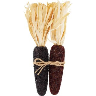 Joyward Ornamental Corn, 16 in, 2 ct | CVS Health
