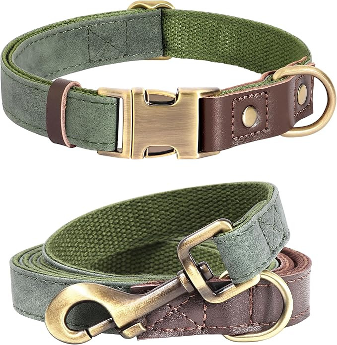 Didog Classic Quick Released PU Leather Dog Collar and Dog Leash Set 4.5FT for Large Dogs | Amazon (US)