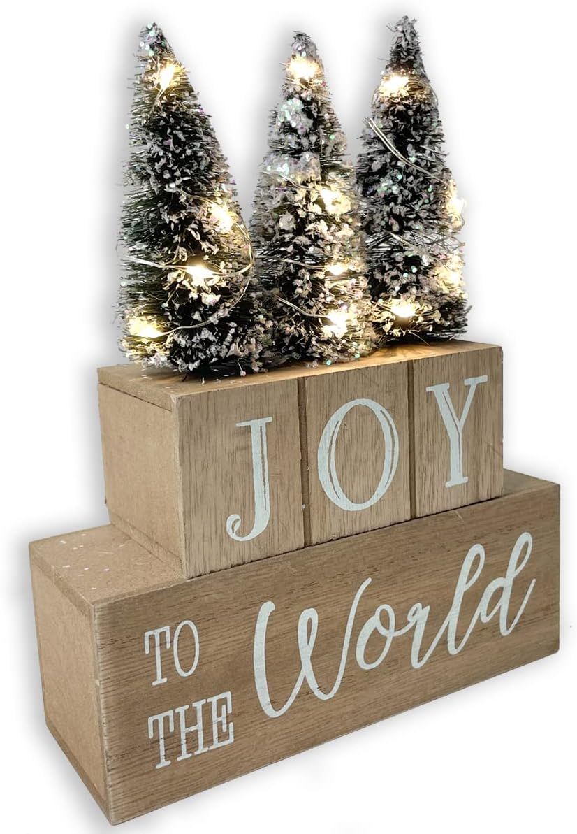 Eternhome Christmas Tree Decorations LED Lighted JOY to the World Block for Home Farmhouse Winter... | Amazon (US)