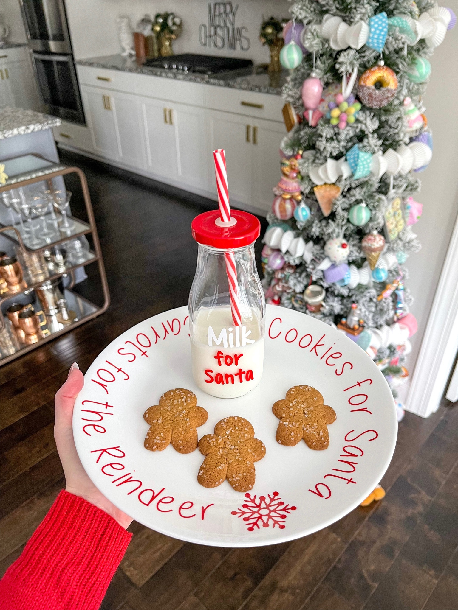 Cookies for Santa!

Christmas decor, cookie tray

#LTKHoliday #LTKhome #LTKkids