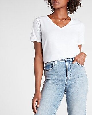 Skimming Pima Cotton V-neck Tee | Express