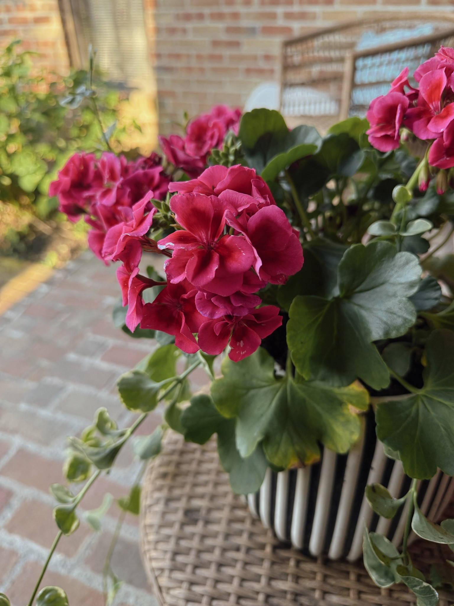 Obsessed w this combo from Walmart 🌸

#LTKdayinmylife #LTKgrwm #LTKmomlife