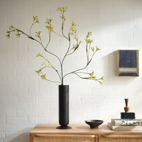 Faux Kangaroo Paw Branch | West Elm (US)